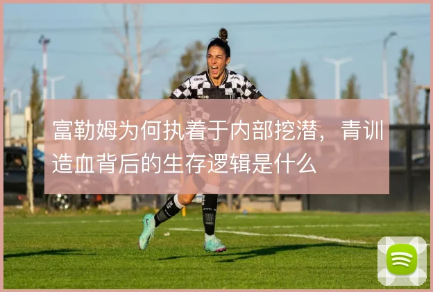 富勒姆为何执着于内部挖潜，青训造血背后的生存逻辑是什么