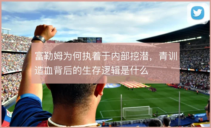 富勒姆为何执着于内部挖潜，青训造血背后的生存逻辑是什么