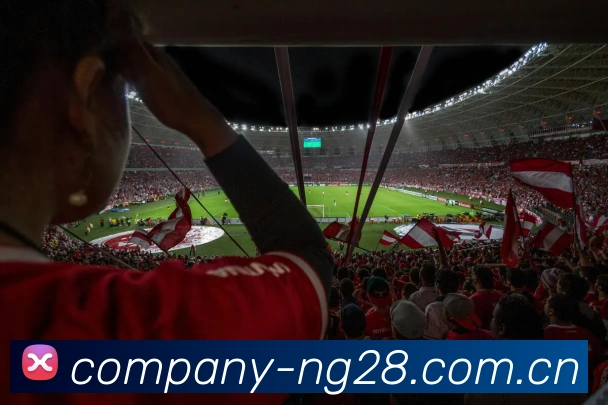 ng28品牌故事